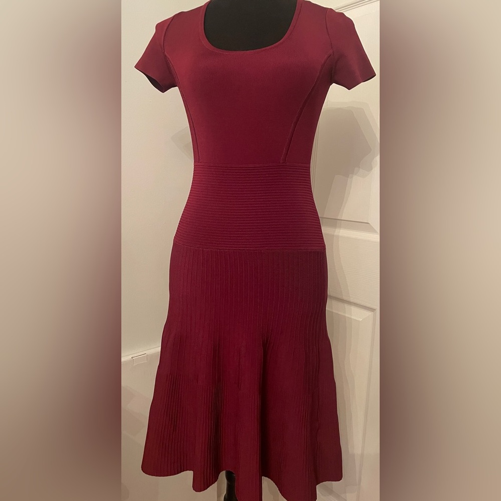 Michael Kors Merlot Red Dress - XXS